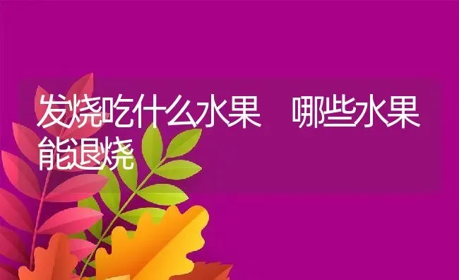 发烧吃什么水果 哪些水果能退烧 | 养殖资料投稿