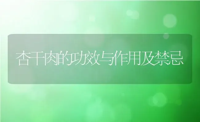 杏干肉的功效与作用及禁忌 | 养殖资料投稿