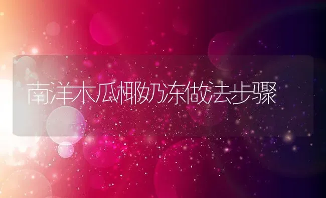 南洋木瓜椰奶冻做法步骤 | 养殖资料投稿