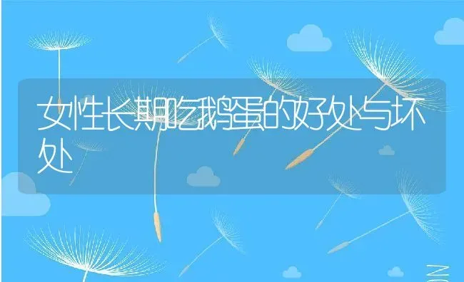 女性长期吃鹅蛋的好处与坏处 | 养殖资料投稿