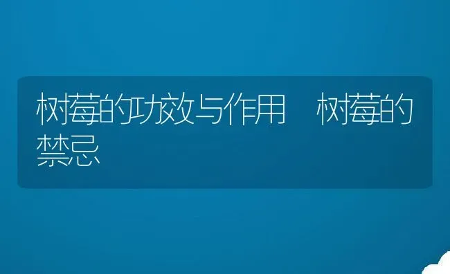 树莓的功效与作用 树莓的禁忌 | 养殖资料投稿