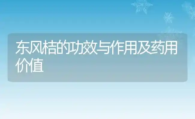 东风桔的功效与作用及药用价值 | 养殖资料投稿