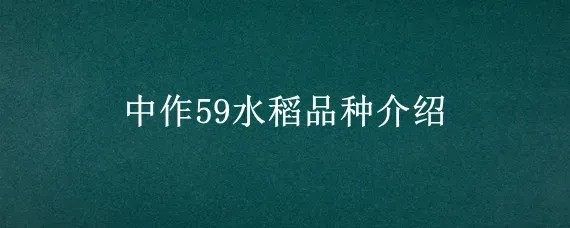 中作59水稻品种介绍