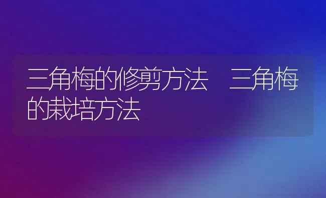 三角梅的修剪方法 三角梅的栽培方法 | 养殖资料投稿