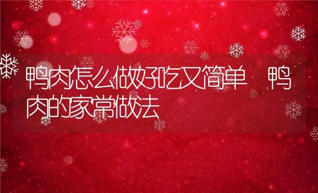 鸭肉怎么做好吃又简单 鸭肉的家常做法 | 养殖资料投稿