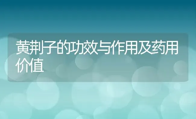 黄荆子的功效与作用及药用价值 | 养殖资料投稿