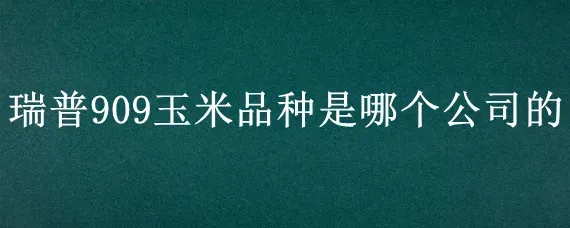 瑞普909玉米品种是哪个公司的