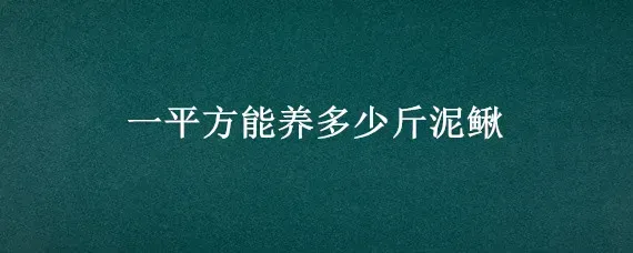 一平方能养多少斤泥鳅