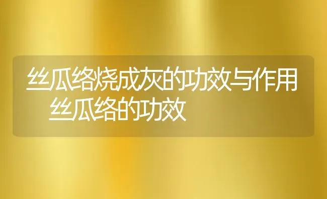 丝瓜络烧成灰的功效与作用 丝瓜络的功效 | 养殖资料投稿