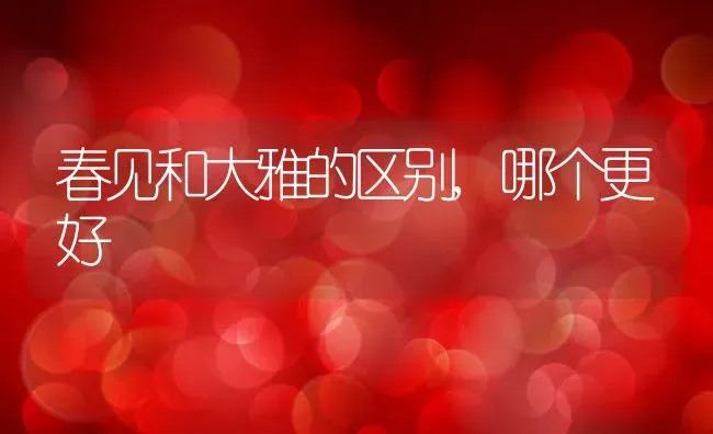 春见和大雅的区别,哪个更好 | 养殖资讯
