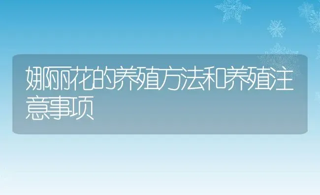 娜丽花的养殖方法和养殖注意事项 | 养殖资料投稿