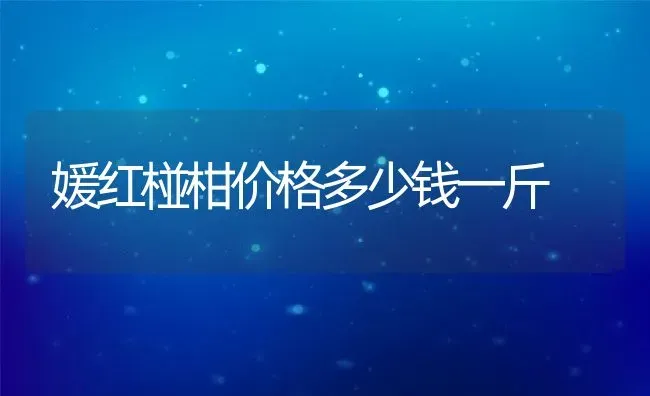 媛红椪柑价格多少钱一斤 | 养殖资讯