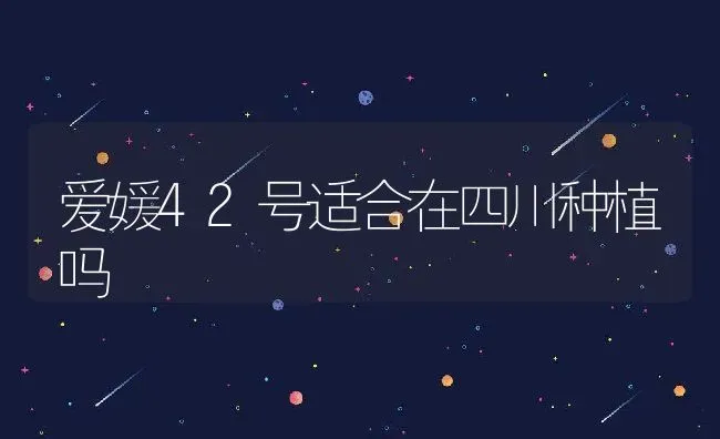 爱媛42号适合在四川种植吗 | 养殖资讯