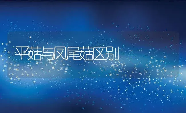 平菇与凤尾菇区别 | 养殖资讯