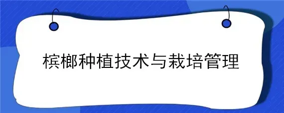 槟榔种植技术与栽培管理