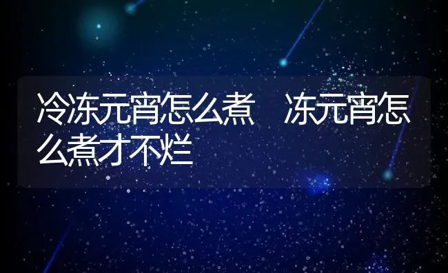 冷冻元宵怎么煮 冻元宵怎么煮才不烂 | 养殖资料投稿