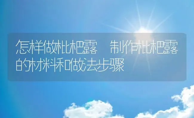 怎样做枇杷露 制作枇杷露的材料和做法步骤 | 养殖资料投稿