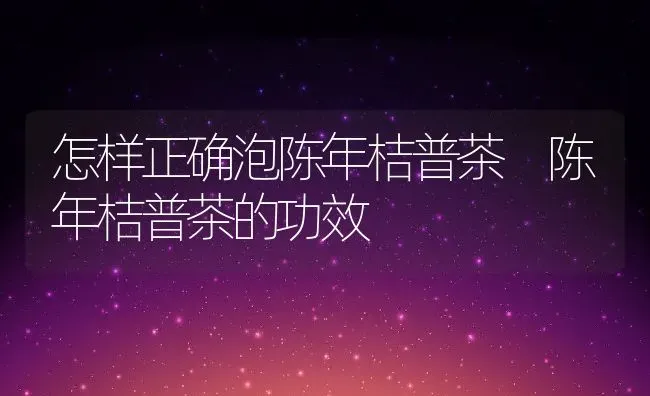 怎样正确泡陈年桔普茶 陈年桔普茶的功效 | 养殖资料投稿