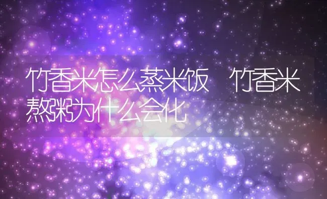 竹香米怎么蒸米饭 竹香米熬粥为什么会化 | 养殖资讯