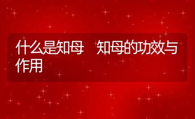 什么是知母 知母的功效与作用 | 养殖资料投稿