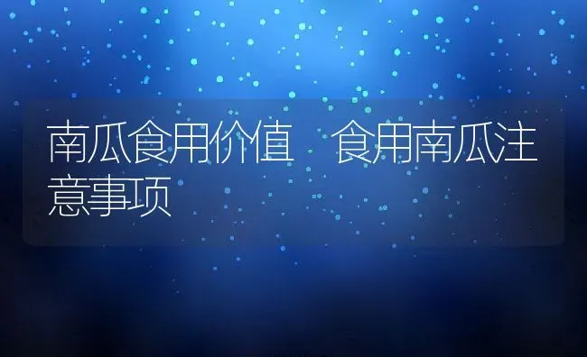 南瓜食用价值 食用南瓜注意事项 | 养殖资料投稿