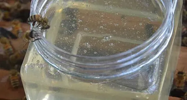 最新槐花蜜价格多少钱一斤？