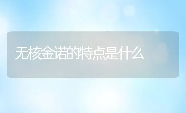 无核金诺的特点是什么 | 养殖资讯