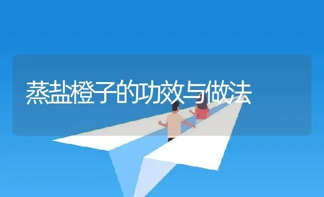 蒸盐橙子的功效与做法 | 养殖资料投稿