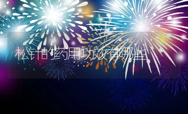 松针的药用功效有哪些 | 养殖资料投稿
