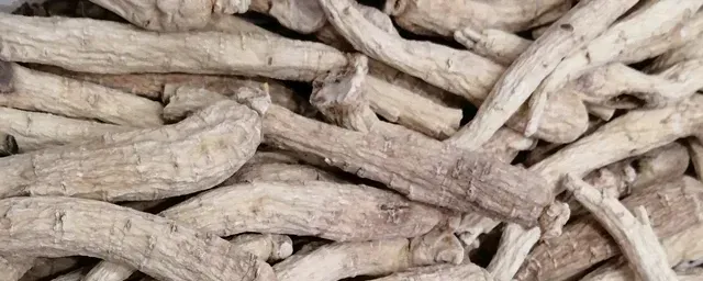 丹参一亩大概收入