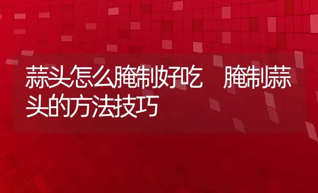 元宝竹的养殖方法和注意事项 | 养殖资料投稿