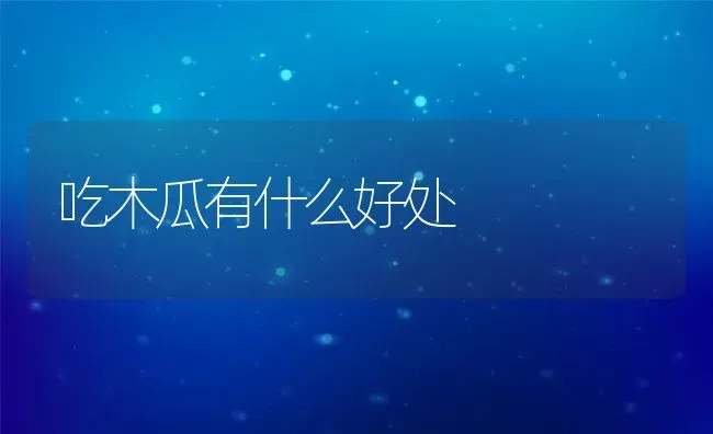 吃木瓜有什么好处 | 养殖资料投稿