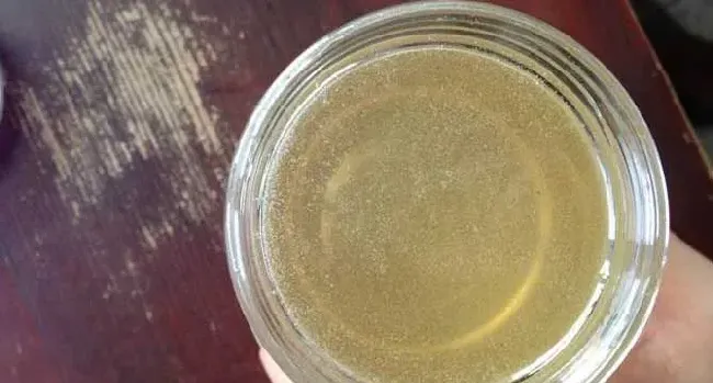 最新槐花蜜价格多少钱一斤？