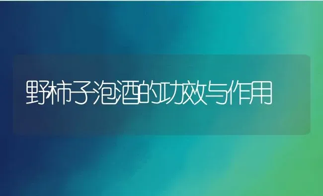 野柿子泡酒的功效与作用 | 养殖资料投稿