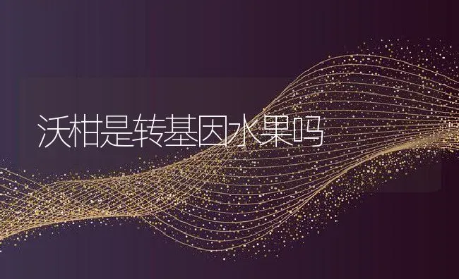 沃柑是转基因水果吗 | 养殖资讯