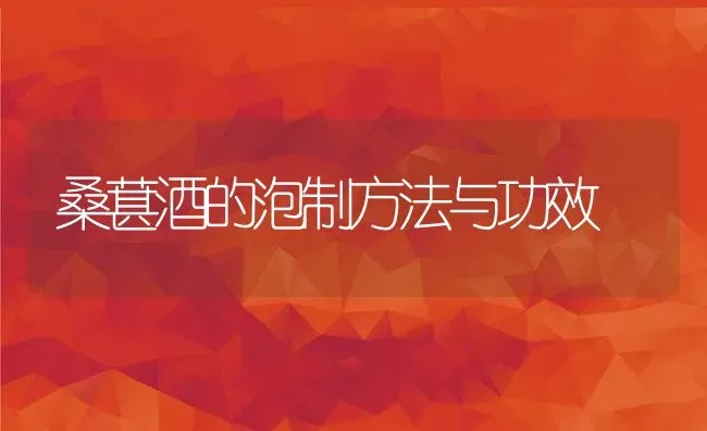 桑葚酒的泡制方法与功效 | 养殖资料投稿