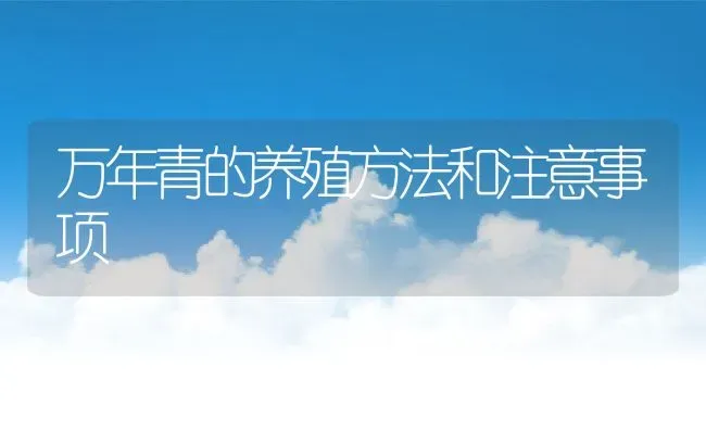 万年青的养殖方法和注意事项 | 养殖资料投稿
