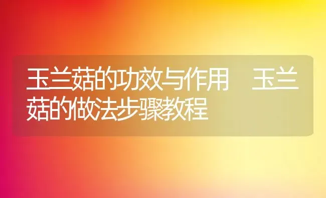 玉兰菇的功效与作用 玉兰菇的做法步骤教程 | 养殖资料投稿