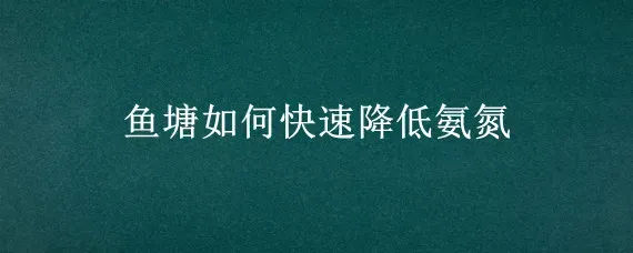 鱼塘如何快速降低氨氮