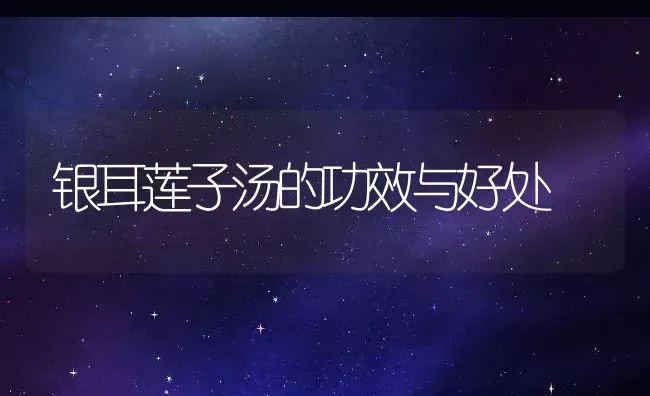 银耳莲子汤的功效与好处 | 养殖资料投稿