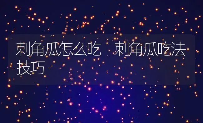 刺角瓜怎么吃 刺角瓜吃法技巧 | 养殖资料投稿