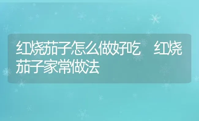 红烧茄子怎么做好吃 红烧茄子家常做法 | 养殖资料投稿