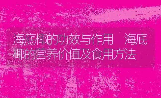 海底椰的功效与作用 海底椰的营养价值及食用方法 | 养殖资料投稿