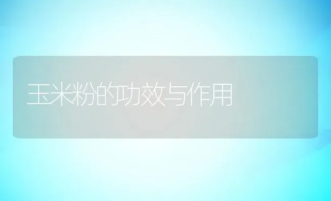 玉米粉的功效与作用 | 养殖资料投稿