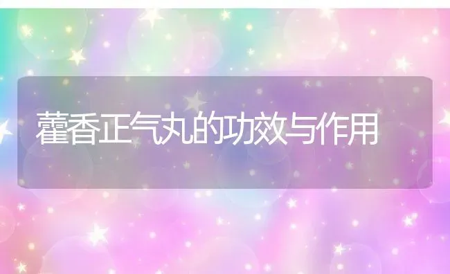 藿香正气丸的功效与作用 | 养殖资料投稿