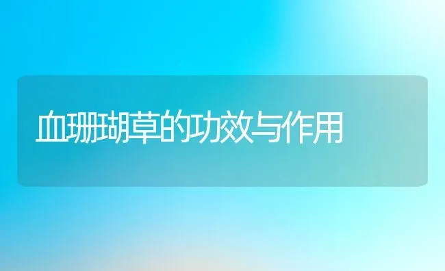 血珊瑚草的功效与作用 | 养殖资料投稿