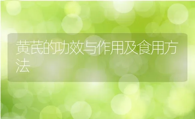 黄芪的功效与作用及食用方法 | 养殖资料投稿