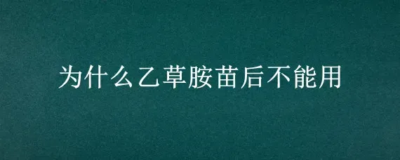 为什么乙草胺苗后不能用