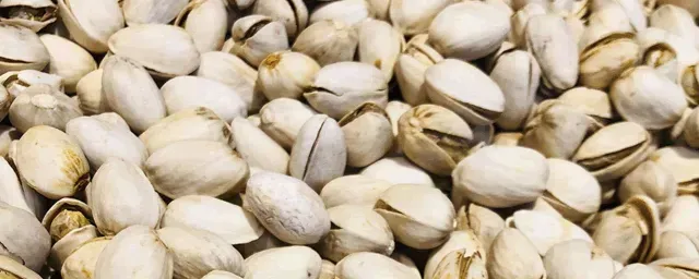 什么时候嫁接果树最好