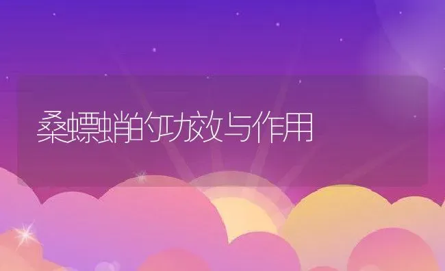 桑螵蛸的功效与作用 | 养殖资料投稿